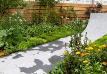 Betongpark bidro til bronsemedalje i Chelsea