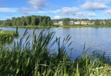 Østensjøområdet miljøpark – et mangfoldig nærturområde