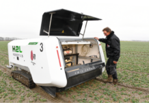 Roboter og KI forbedrer produksjonen av tulipanløk