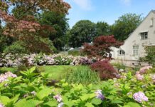 Norrvikens hager – arven etter Rudolf Abelin