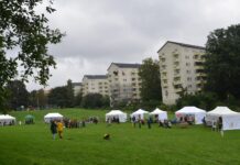 Treets dag 2024 i Iladalen park