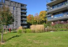 Planteveileder for Lilleakerbyen