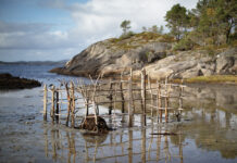 Et friluftsmuseum for land art – Hestøya