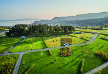 Urban skog – med metoder hentet fra skogbruket