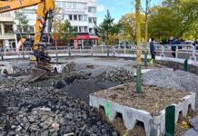 Gatetrær og infrastruktur