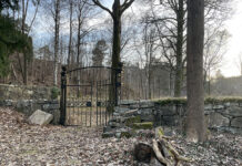 Skogen som siste hvilested