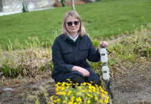 Regnbed – ulike samplantinger for økt infiltrasjon