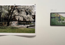 Åpent blikk på hverdagslandskapene våre