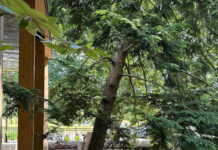 Felles vilje til bevaring