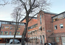 Planting av trær i faste dekker – utfordringer og løsninger