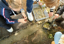 Med landskapsarkitektur i Den kulturelle skolesekken