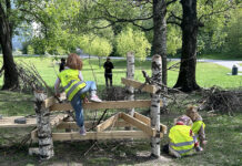 Der barna får bestemme