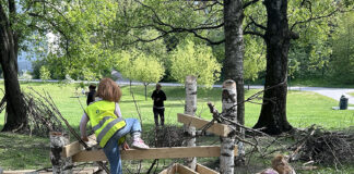 Der barna får bestemme