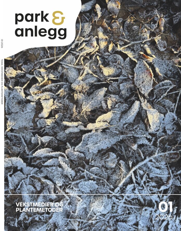 PARK & ANLEGG 01-2026 Cover