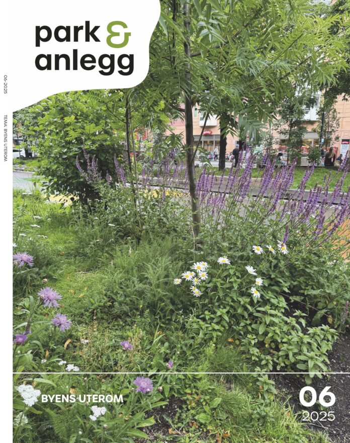 P&A_06-2025-Cover